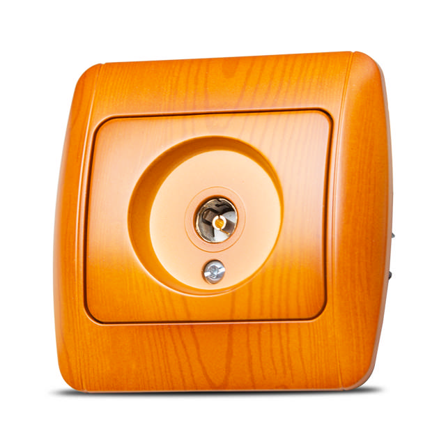 Zirve Priza TV ST Stejar