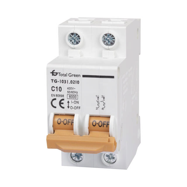 Intrerupator Automat 10A Bipolar