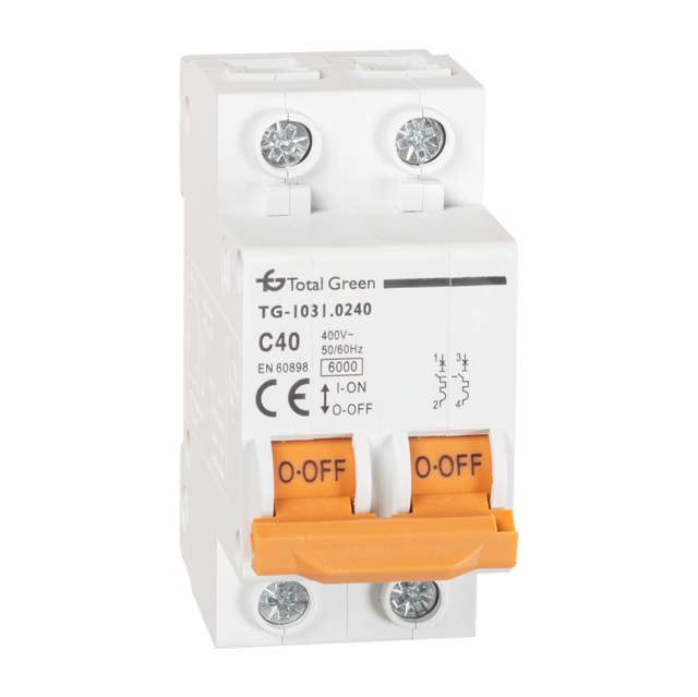 Intrerupator Automat 40A Bipolar