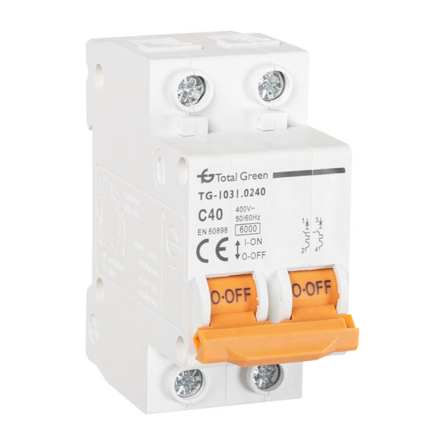 Intrerupator Automat 40A Bipolar