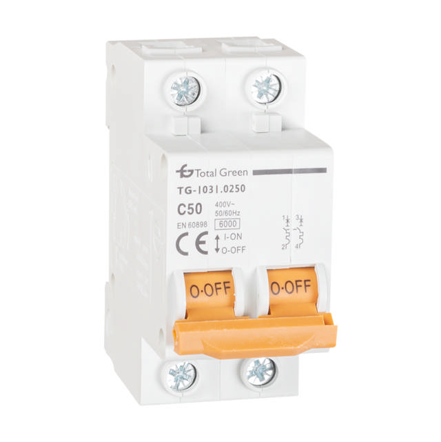 Intrerupator Automat 50A Bipolar