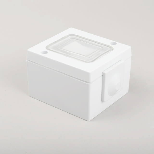 Intrerupator PT IP54 NV-1201.011