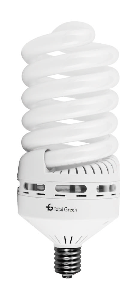 Bec Economic Spirala 100W E40 6400K