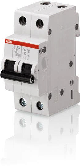 Intrerupator Automat 20A 2P C 4.5Ka SH202-L