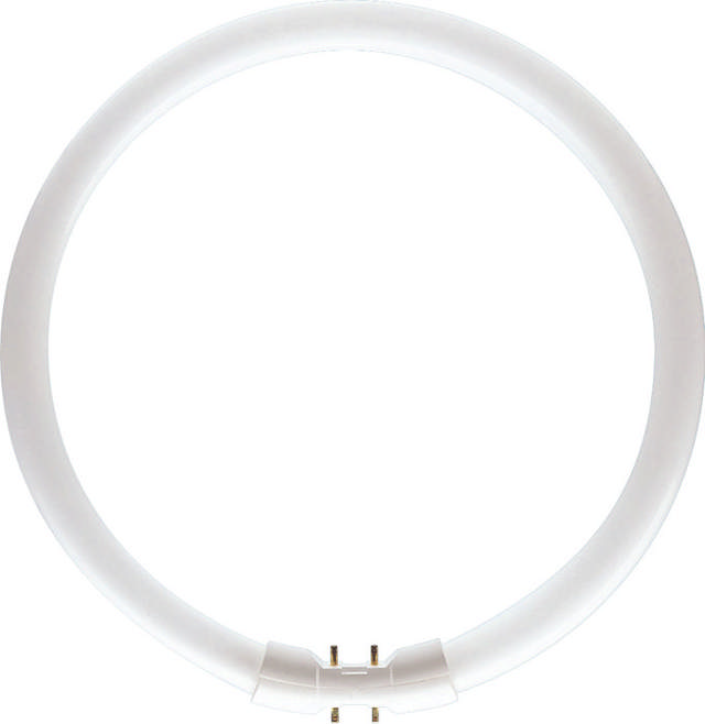 Tub Fluorescent Circular TL5 22W