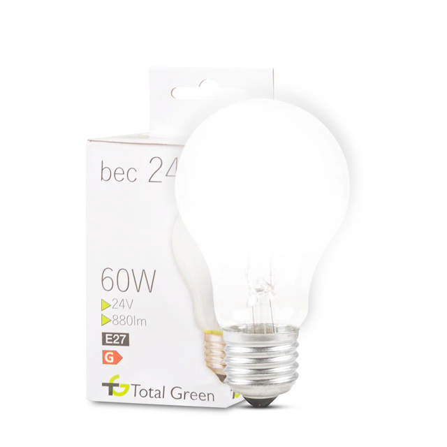 Bec 60W E27 24V 