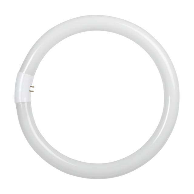 Tub Fluorescent Circular T9 32W 6400K   