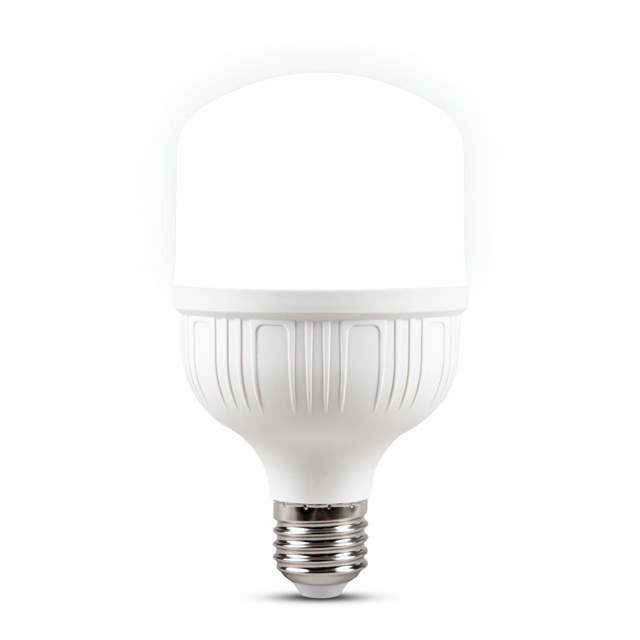 Bec LED 20W E27 6500K    