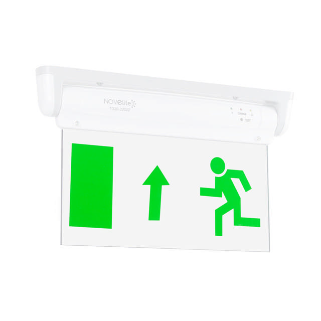 Display SUS pentru Corp VERSO 2 - NOVELITE