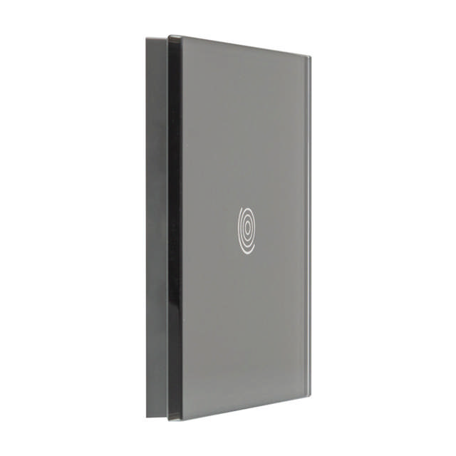 Panou gri simplu 1T Sticla, aparataj touch PULSAR NS