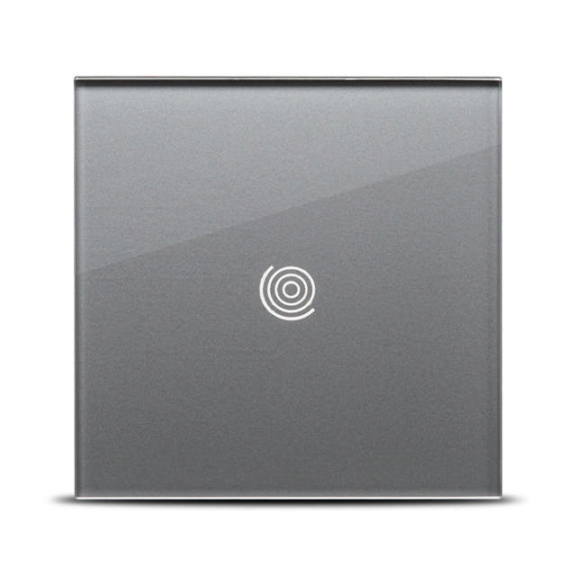 Panou gri simplu 1T Sticla, aparataj touch PULSAR NS