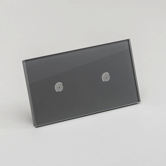 Panou dublu gri 1T+1T, aparataj touch PULSAR NS