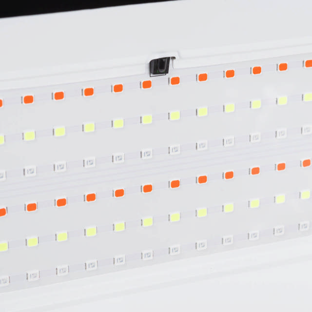 PROIECTOR LED RGB 100W IP65 - NOVELITE