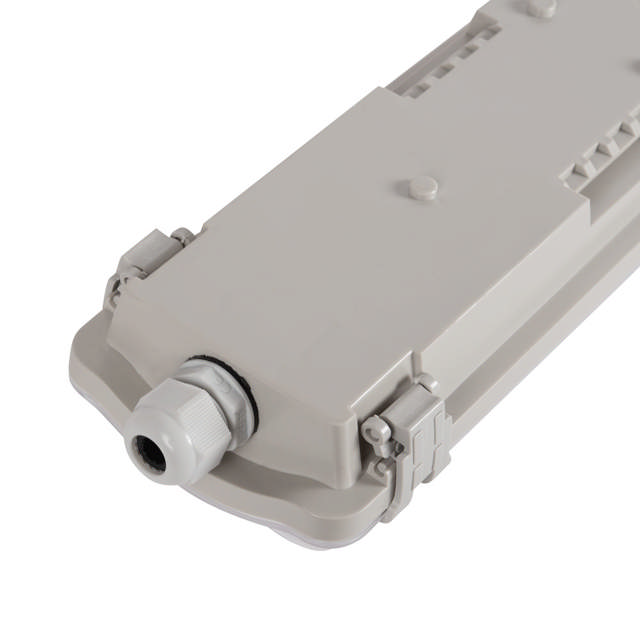 Corp Etans IP65 Neechipat 2x600mm Dispersor Transparent - NOVELITE