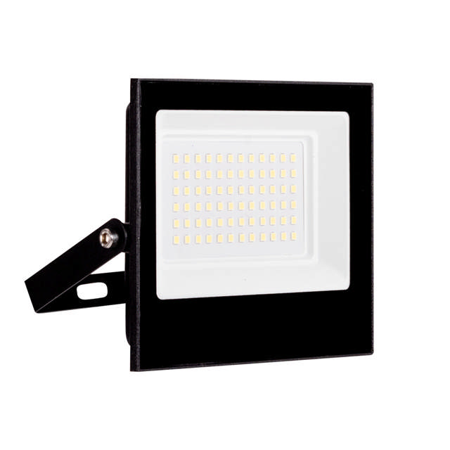 Proiector LED 50W 6400K IP65 - HOMELIGHT