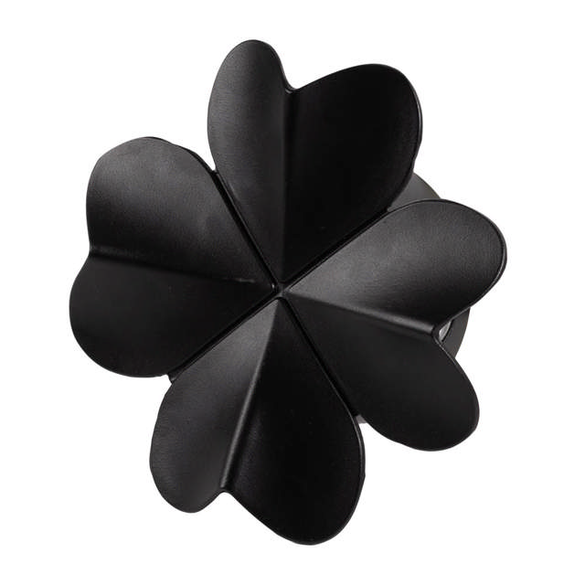 Aplica Ray LED 5W 6500K IP54, negru, Erste