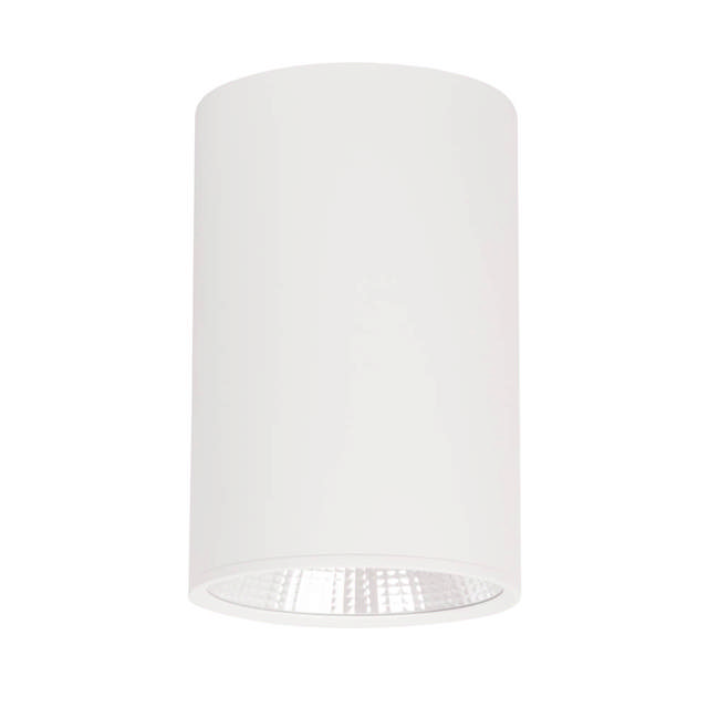 Spot Bart LED 18W IP20, alb, Erste