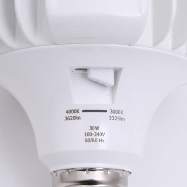 High power LED 30W E27 CCT, Fumagalli