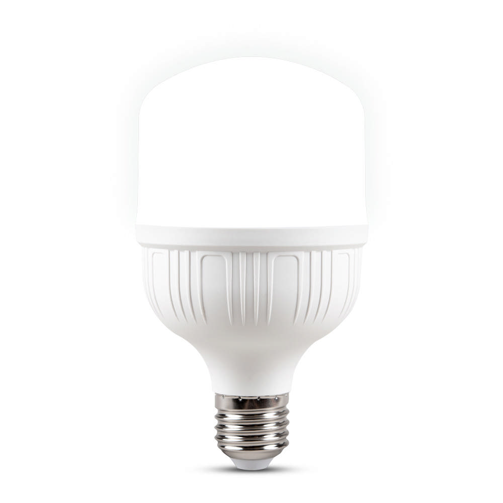 Bec LED 20W E27 6500K    