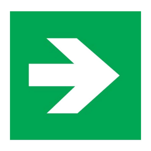 Pictograma SAGEATA Corp Emergenta VELLA - INTELIGHT