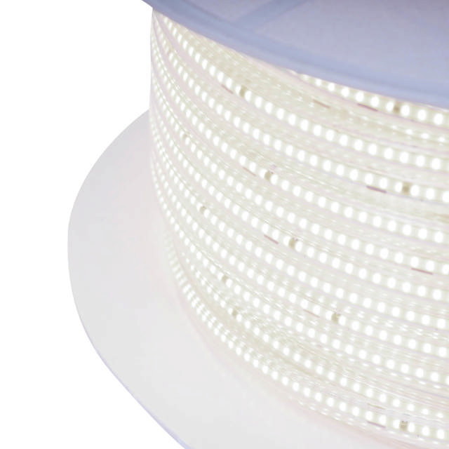 Bandă LED 230V COB 10W/m 6400K IP65 Rolă 100m - ERSTE