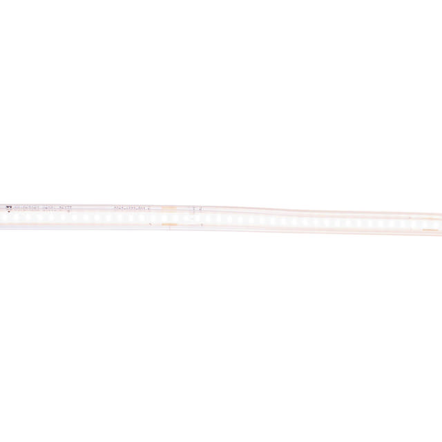 Bandă LED 230V COB 10W/m 6400K IP65 Rolă 100m - ERSTE